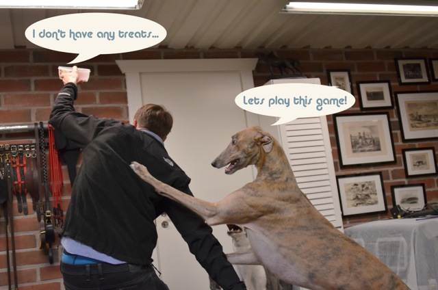 Loading Image