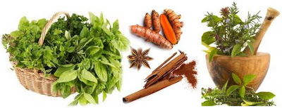 Herbs-Good-For-Dogs