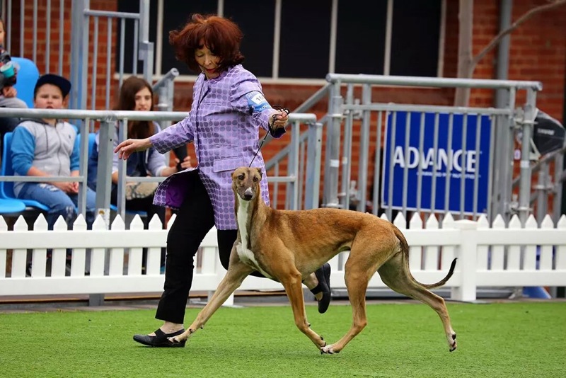 Loading Image