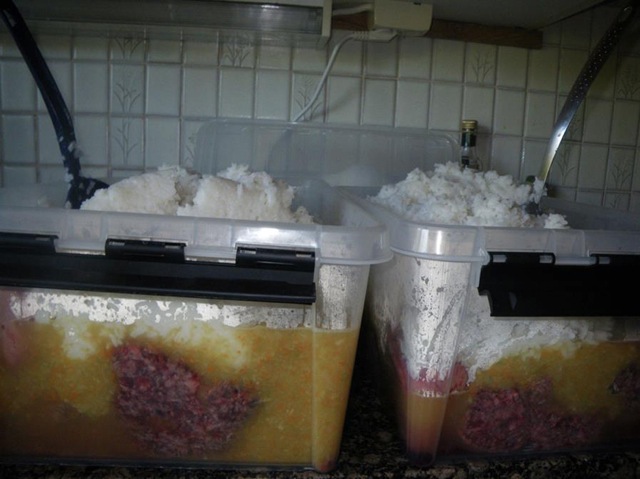 Loading Image