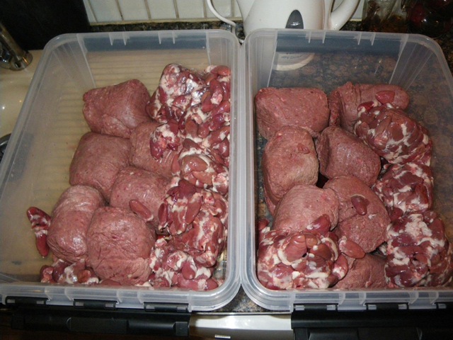 Loading Image