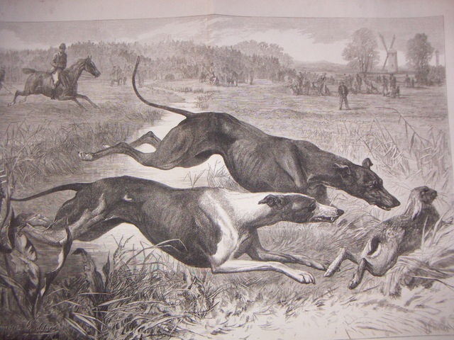 Loading Image