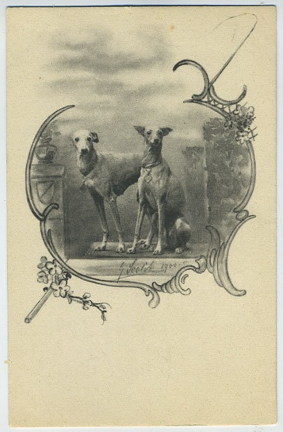 Loading Image