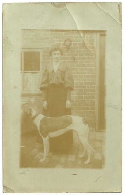 Loading Image