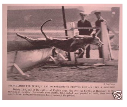 Loading Image